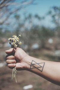 Close-up of hand holding flowering plant