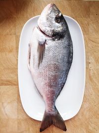 Close-up of fish in plate on table