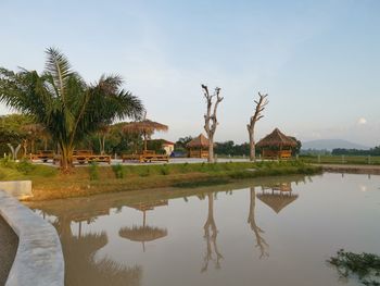 Palm trees by lake against sky
