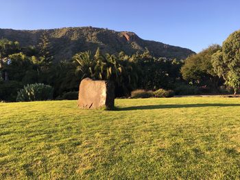 Scenic view of field against clear sky