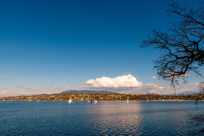 Scenic view of sea against blue sky