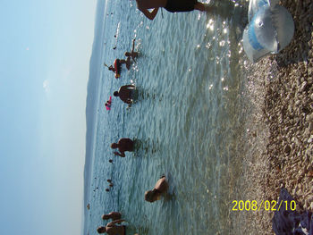 Rear view of people on beach