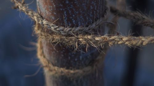 Close-up of rope tied outdoors