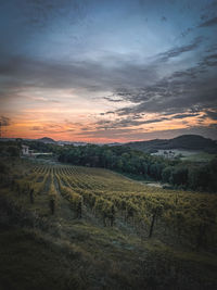 Scenic view of field against sky during sunset