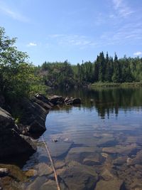 Scenic view of river in forest against sky