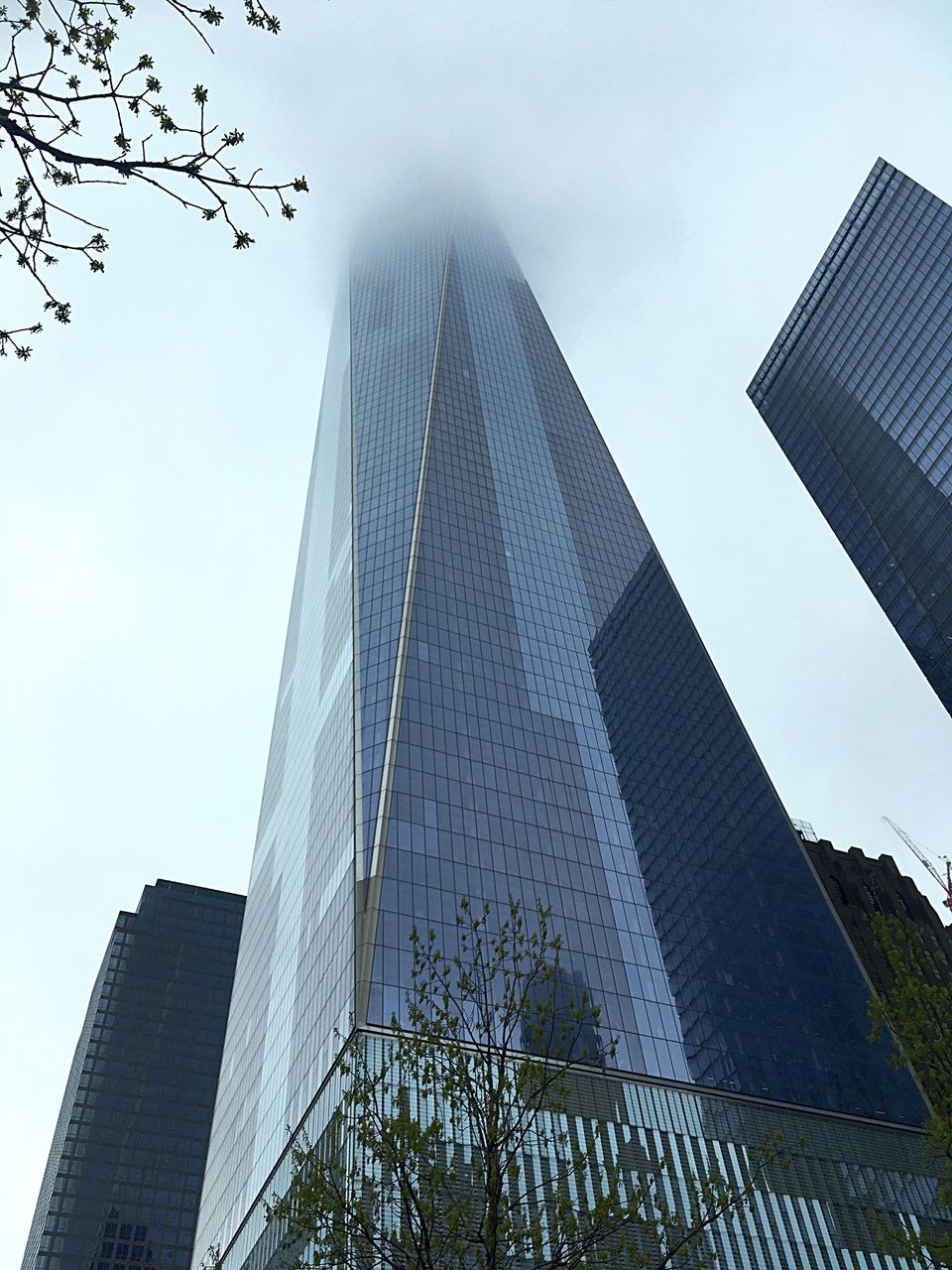 architecture, modern, skyscraper, building exterior, built structure, low angle view, sky, day, outdoors, city, no people, travel destinations, tree, corporate business