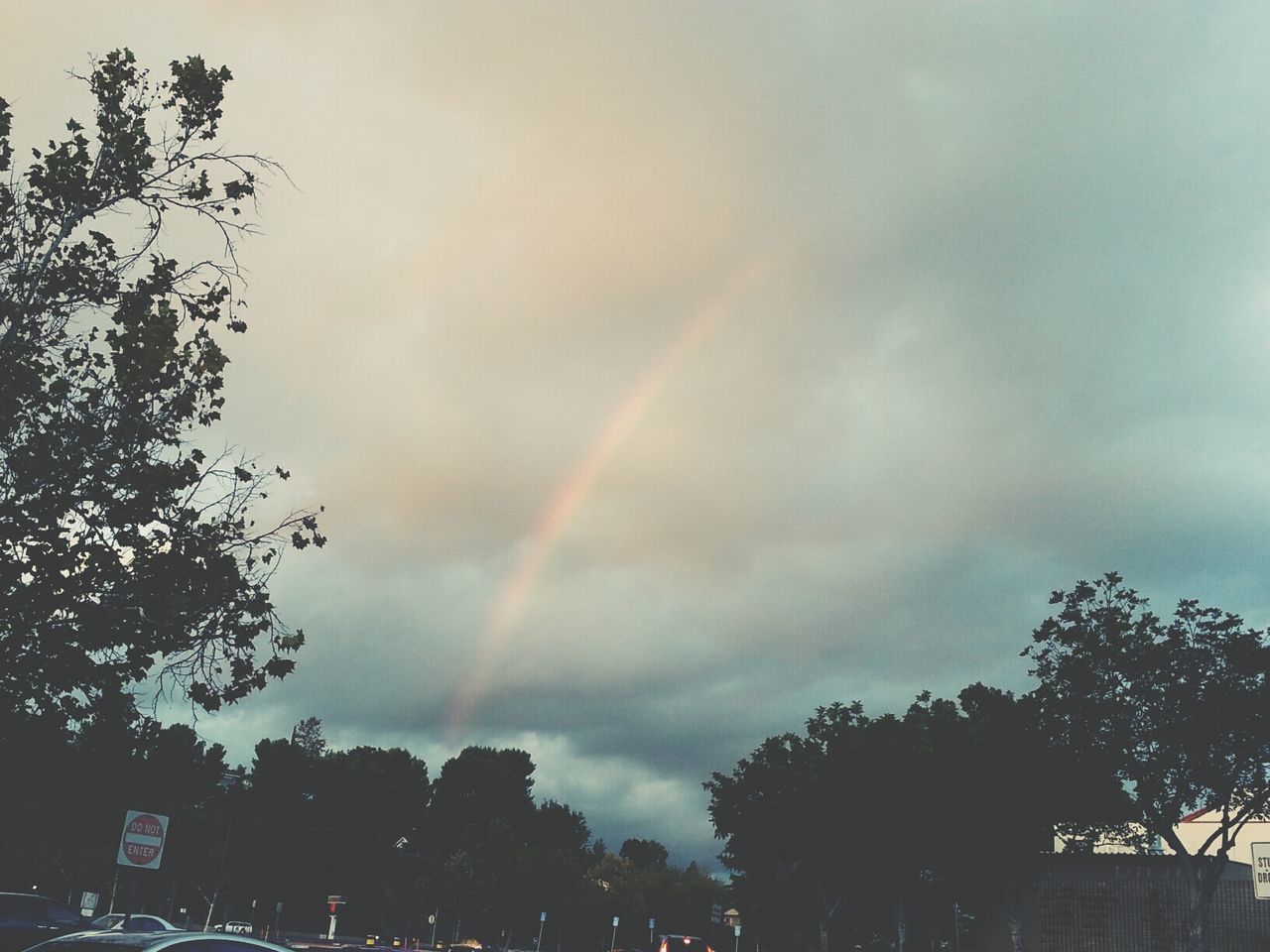 tree, sky, cloud - sky, low angle view, rainbow, cloudy, nature, beauty in nature, weather, growth, building exterior, outdoors, overcast, scenics, built structure, silhouette, dusk, no people, tranquility, branch