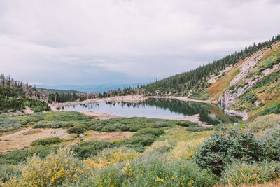 Scenic view of lake and trees against sky