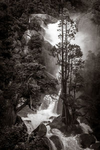 Scenic view of waterfall in forest