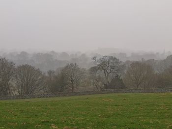 Trees on field against sky