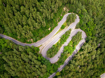 High angle view of winding road amidst trees