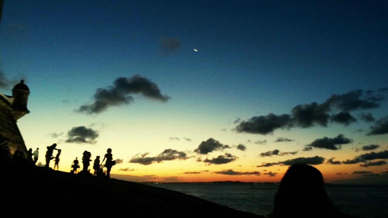 SILHOUETTE OF TREES AT SUNSET