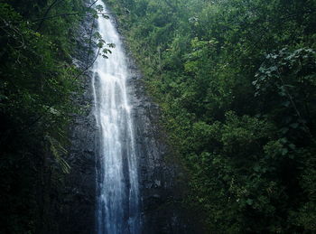 Scenic view of waterfall