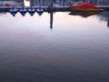 Reflection of trees in water