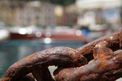 Close-up of rusty chain