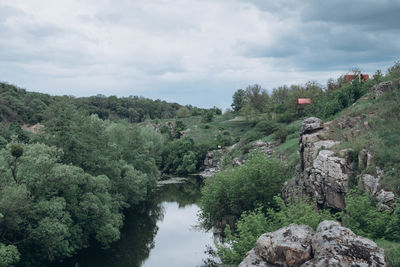 Scenic view of river amidst trees against sky