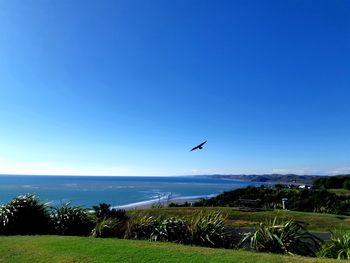 Scenic view of sea against blue sky