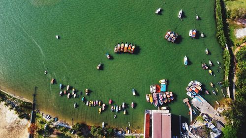 High angle view of people in water