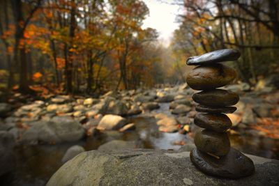 Stones on rock against trees