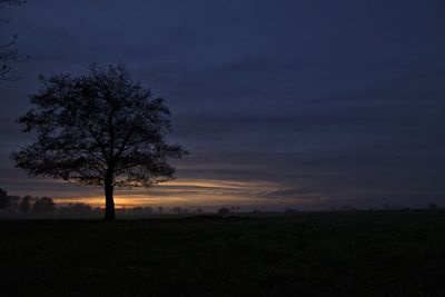 Silhouette tree on field against sky at sunset