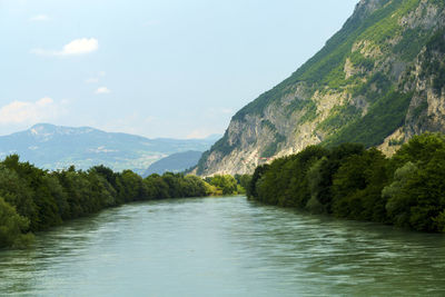 Scenic view of river amidst trees against sky