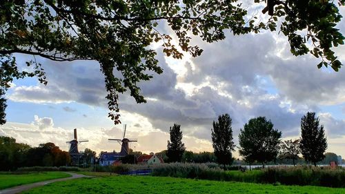 Trees on field against sky