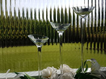 Close-up of wine glasses at window.