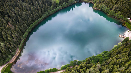 High angle view of lake amidst trees in forest