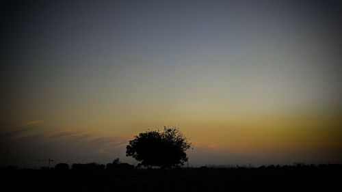 Silhouette trees on field against sky at sunset