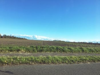 Scenic view of field against clear blue sky