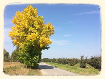 Road passing through landscape