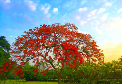 Low angle view of trees against cloudy sky
