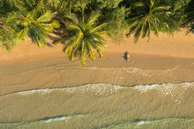 Aerial view of the lonely beach in koh rong island, cambodia