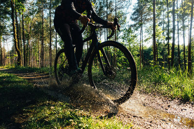 Bicycle parked by trees in forest