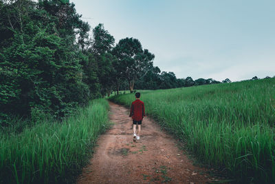 Rear view of man walking on field against sky