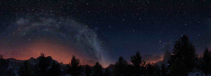 Panoramic view of trees against sky at night