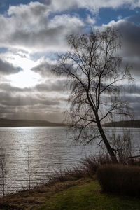 Bare tree by lake against sky
