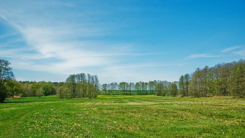 Scenic view of grassy field against cloudy sky