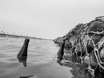 Wooden posts in sea against clear sky