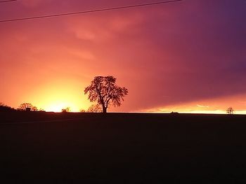 Silhouette trees on field against romantic sky at sunset