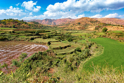 Scenic view of landscape against sky