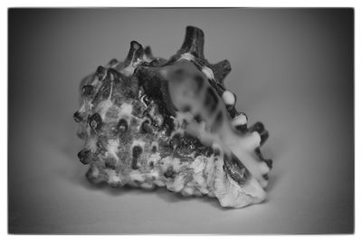 Close-up of paper over white background