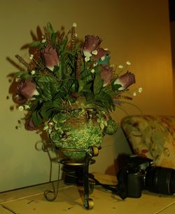 Close-up of potted plants