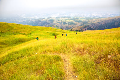 People walking on grassy field