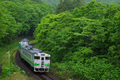 High angle view of train in forest