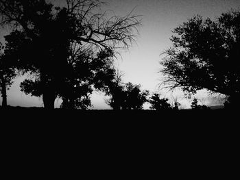 Silhouette trees on field against sky