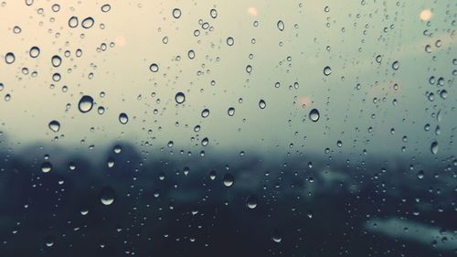 Close-up of water drops on leaf