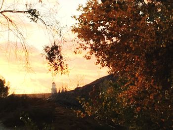 Scenic view of silhouette trees against sky at sunset