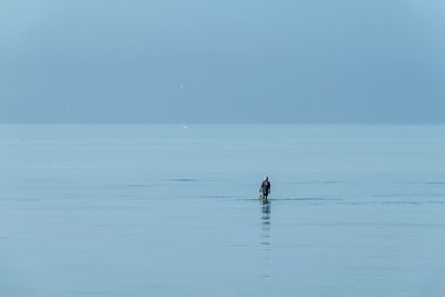 Distant view of man in sea against sky