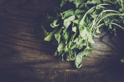 Close-up of leaves on table